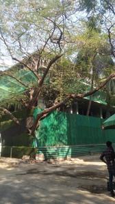 1 BHK Apartment
