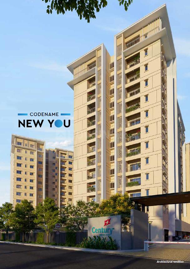 Century Novus - Image 2