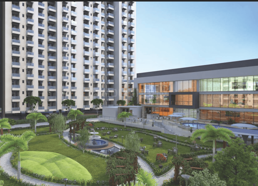 Sikka Kirat Greens - Image 5