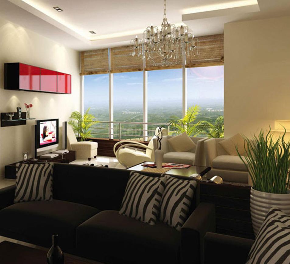 Supertech ORB - Image 24