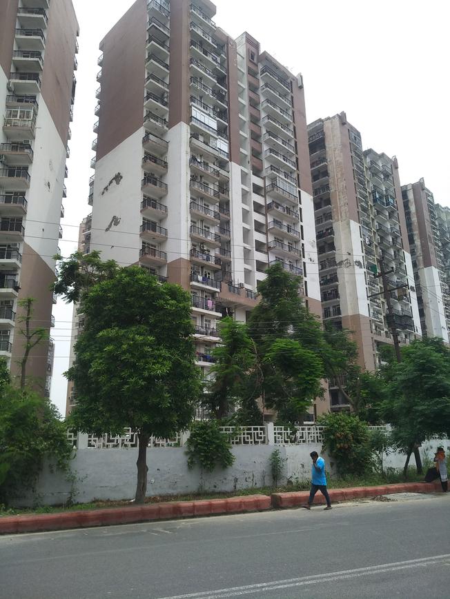 Gardenia AIMS MAX Gardenia Glory - Image 2