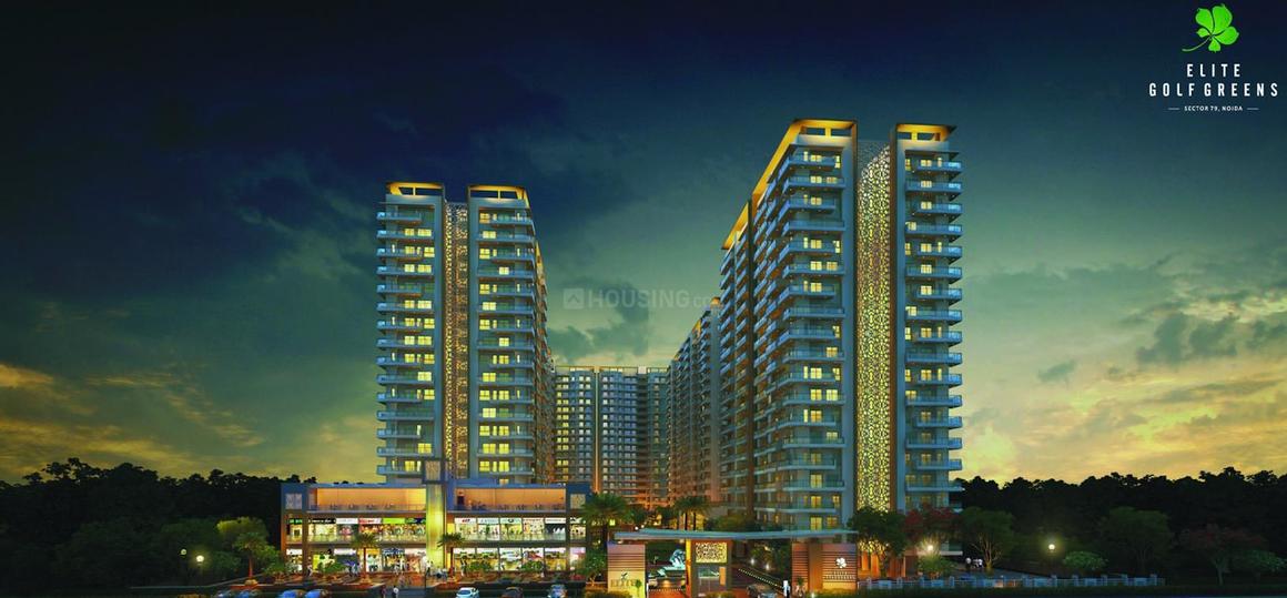 Golfgreen Elite Golf Green - Image 2