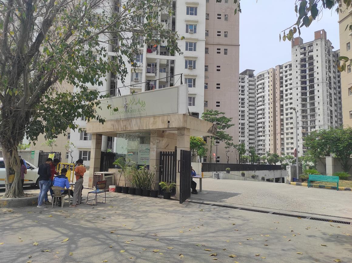 Logix Blossom Greens - Image 16