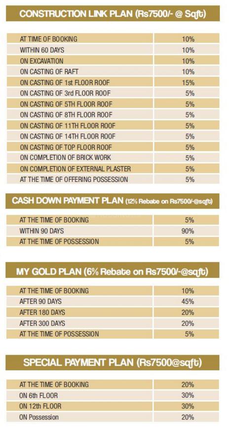 Parakh Golden Maple - Image 12