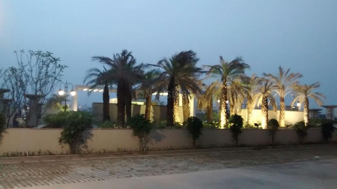 Exotica Fresco - Image 29