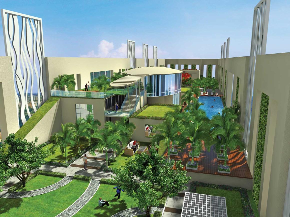 Saha Amadeus - Image 5