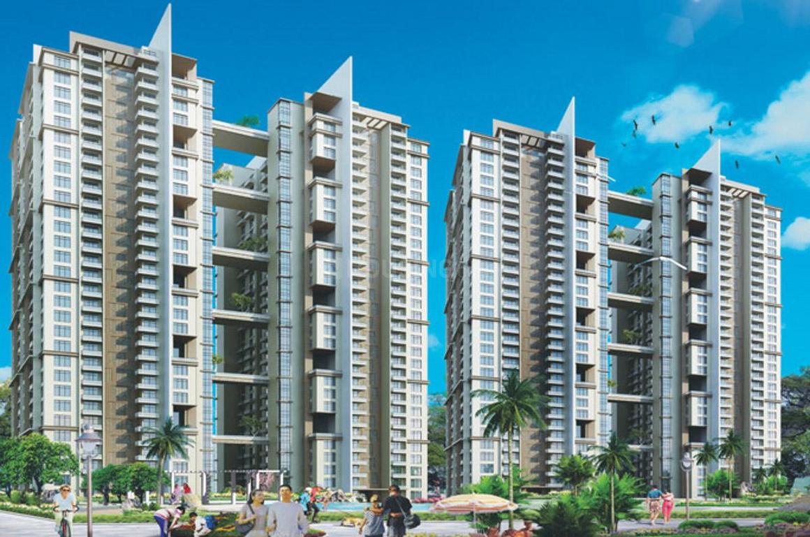 Paras Tierea - Image 2