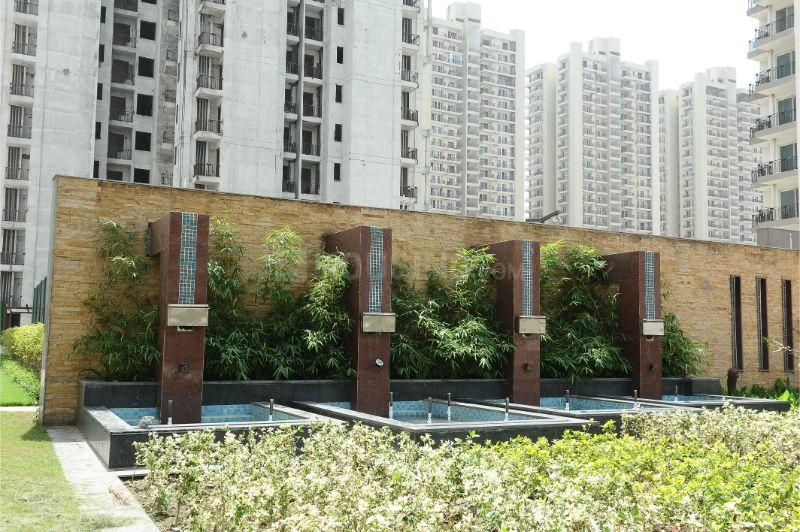 Sikka Karnam Greens - Image 28