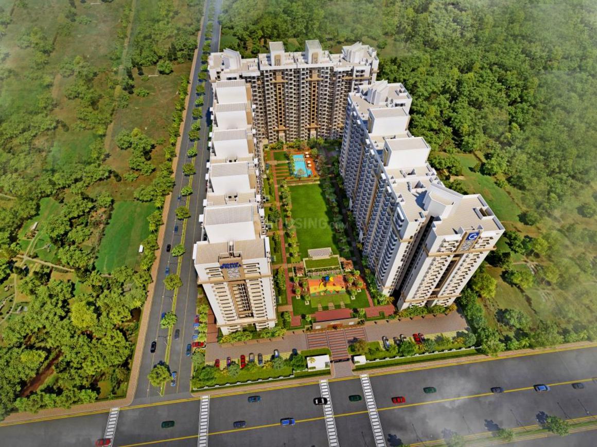 Gulshan Bellina - Image 2