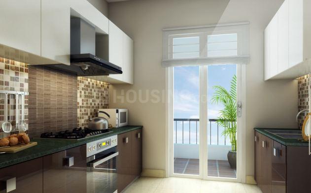 Parakh Golden Maple - Image 4