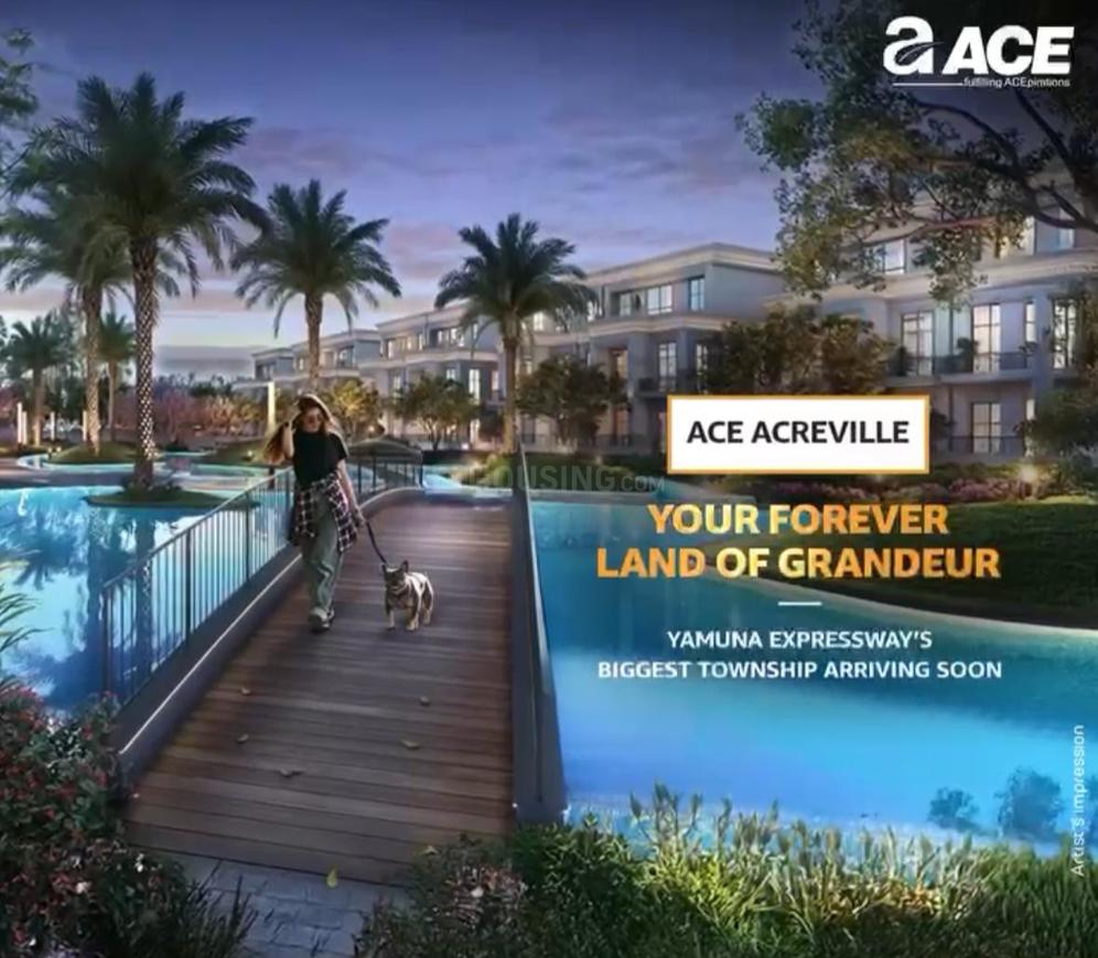 Ace Acreville - Image 3