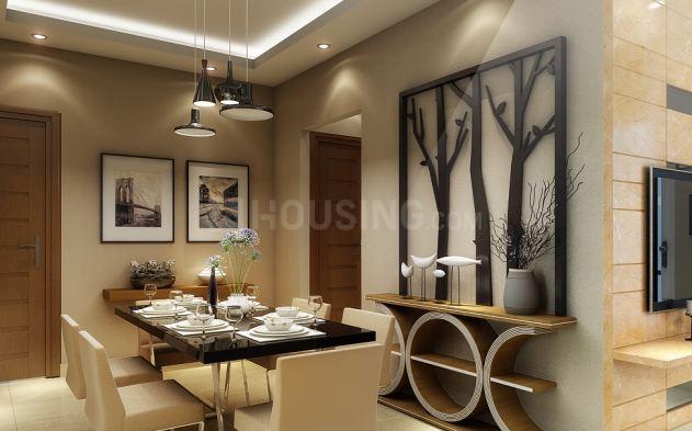 Parakh Golden Maple - Image 6