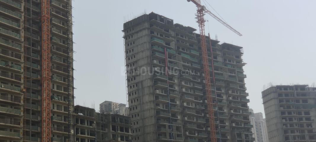 Prateek Canary - Image 42