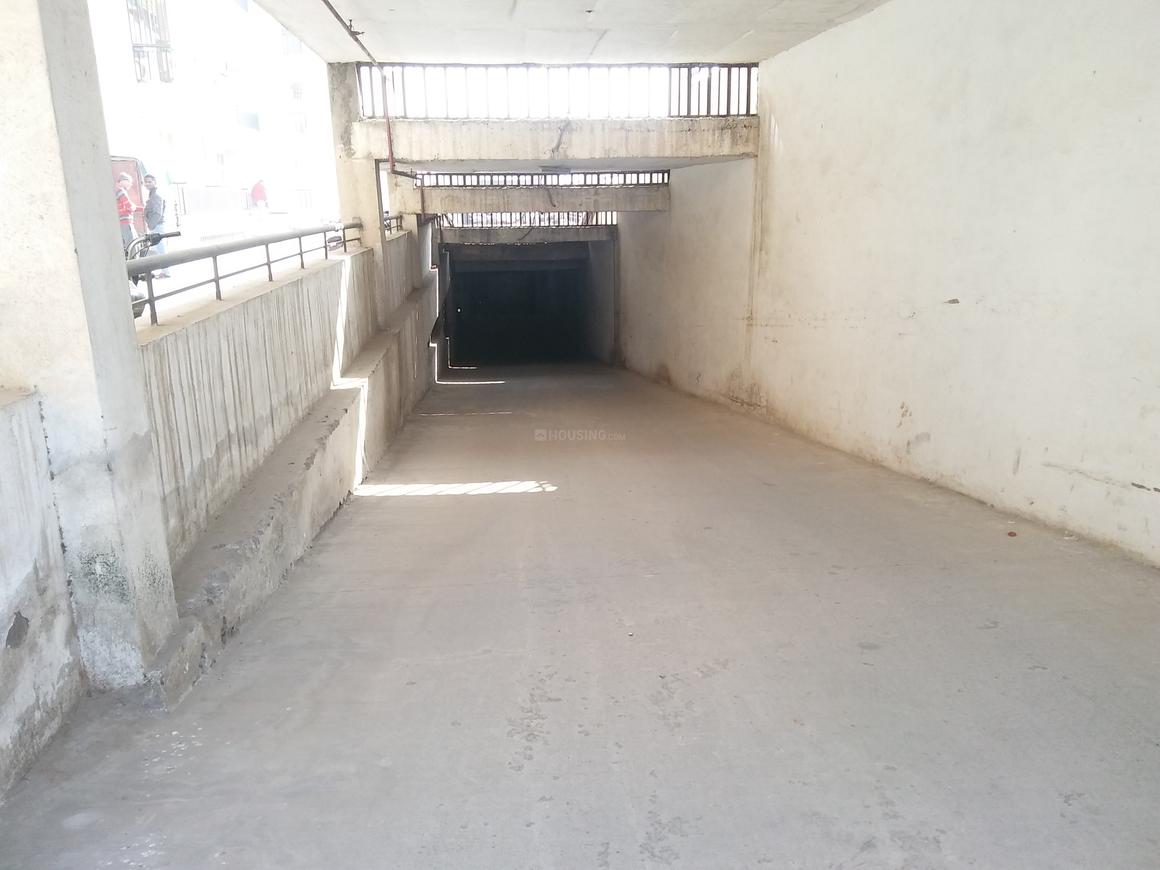 Saviour Greenisle - Image 18