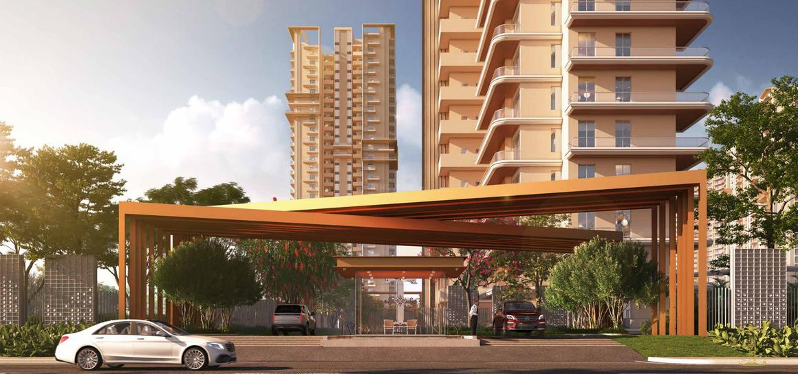 Ivory County Gold - Image 6