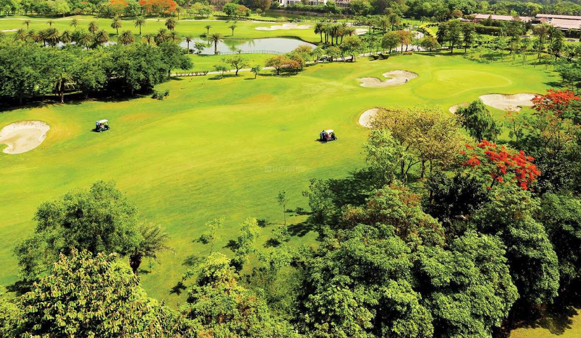 Gaurs The Islands - Image 10