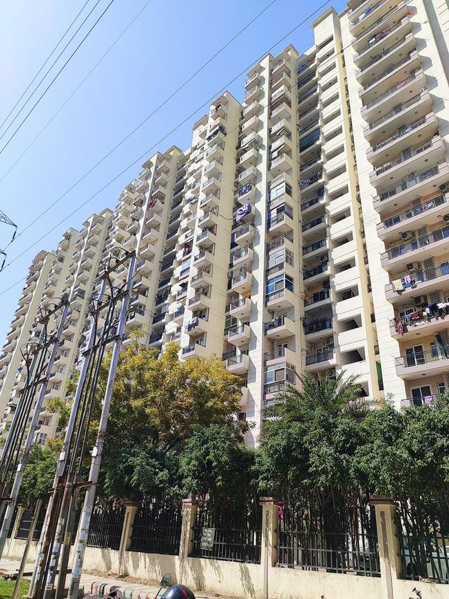 Sethi Max Royal - Image 2