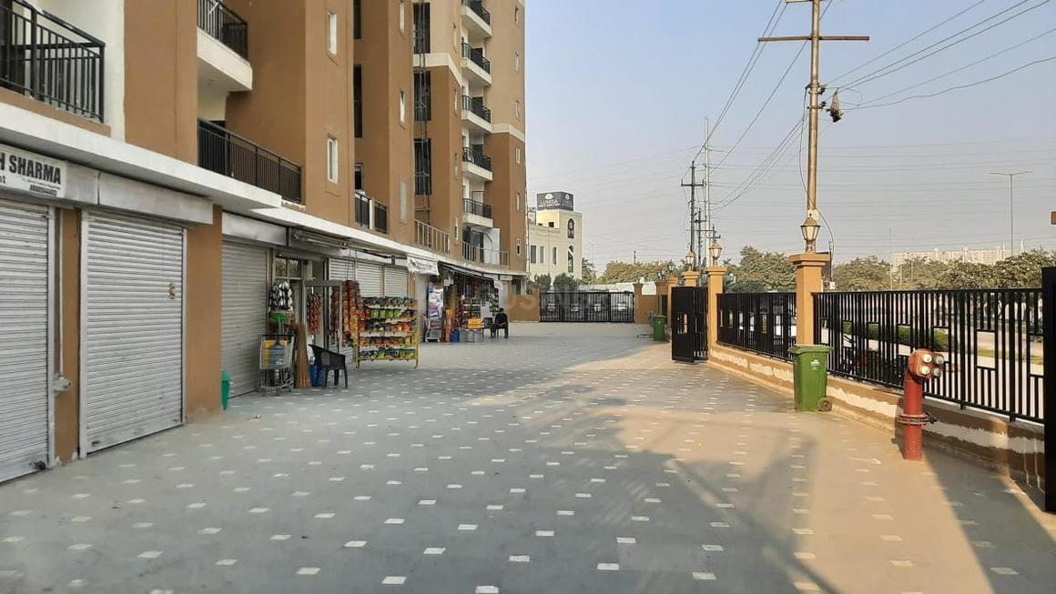 Oasis Venetia Heights - Image 16