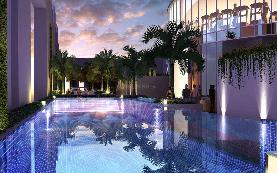 Saha Amadeus - Image 6