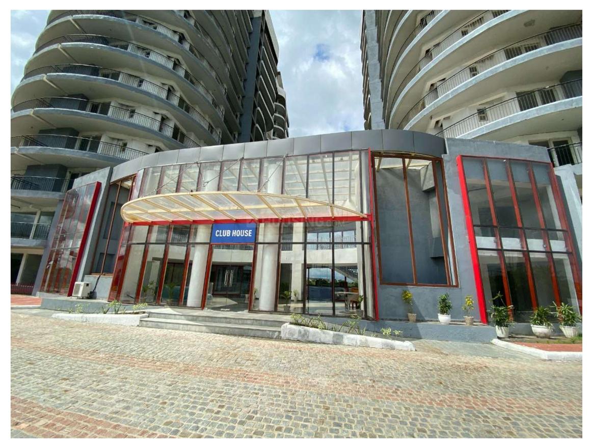 Home And Soul Beetle Lap - Image 6