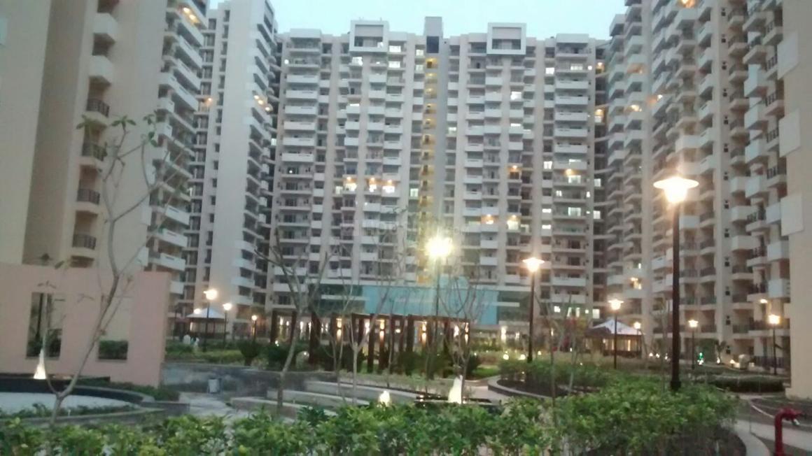 Exotica Fresco - Image 4