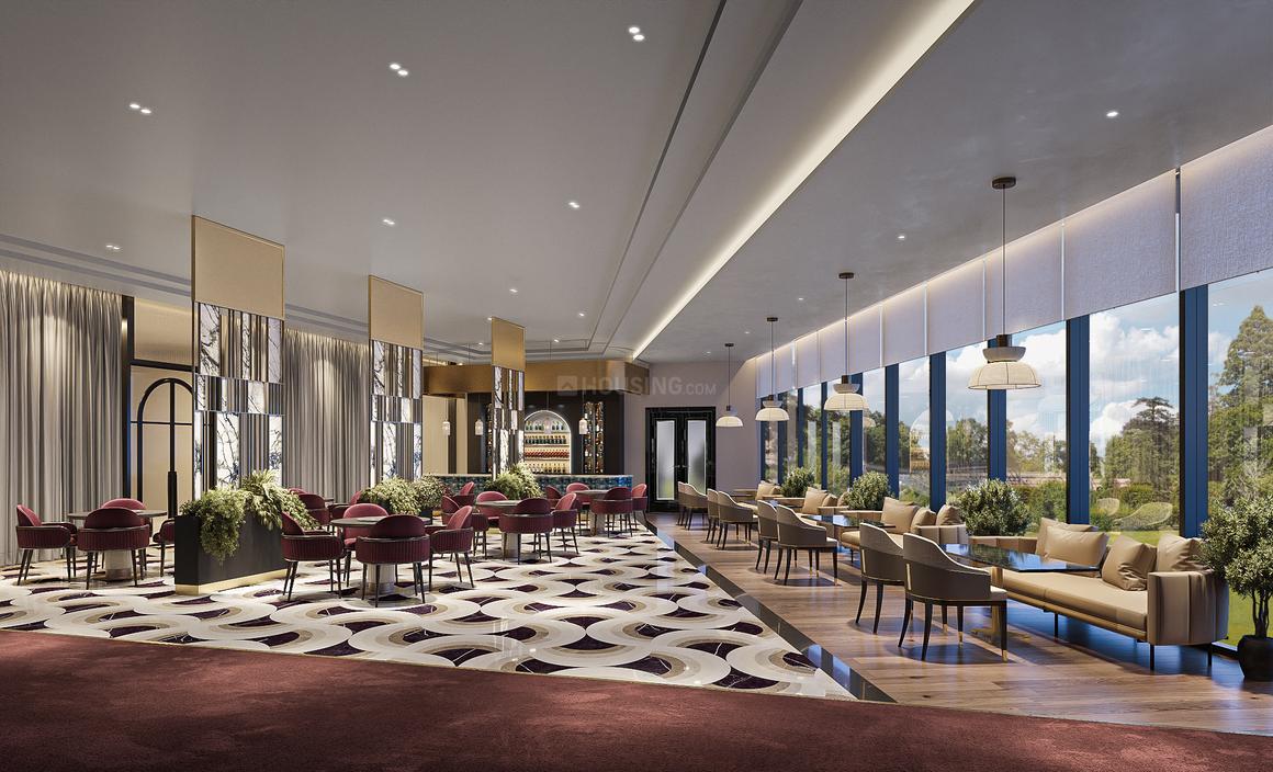 SS Camasa - Image 14