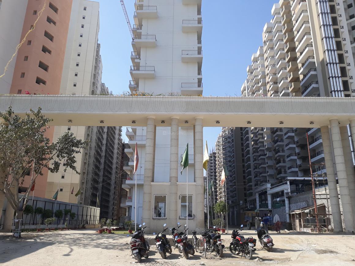 Victory Ace - Image 6