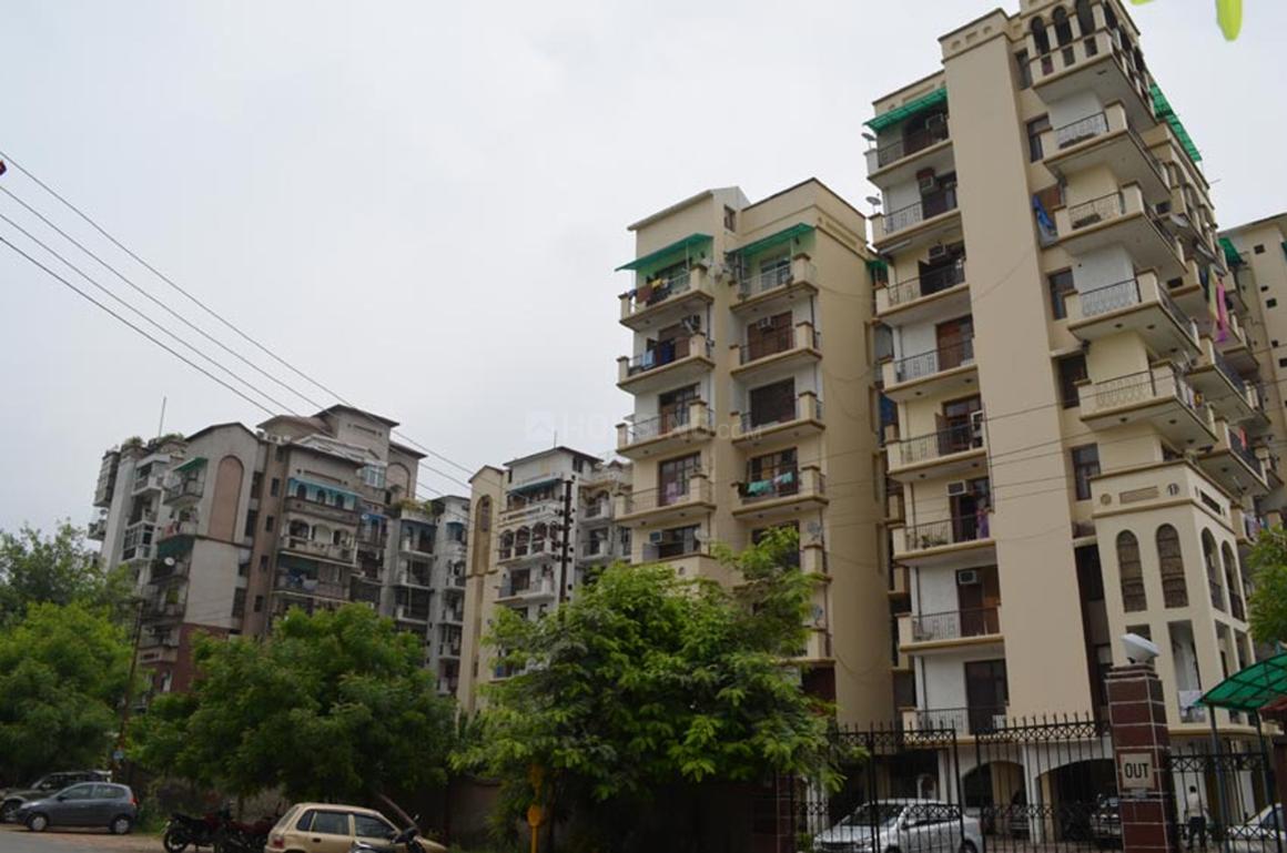 Amrapali Exotica - Image 3