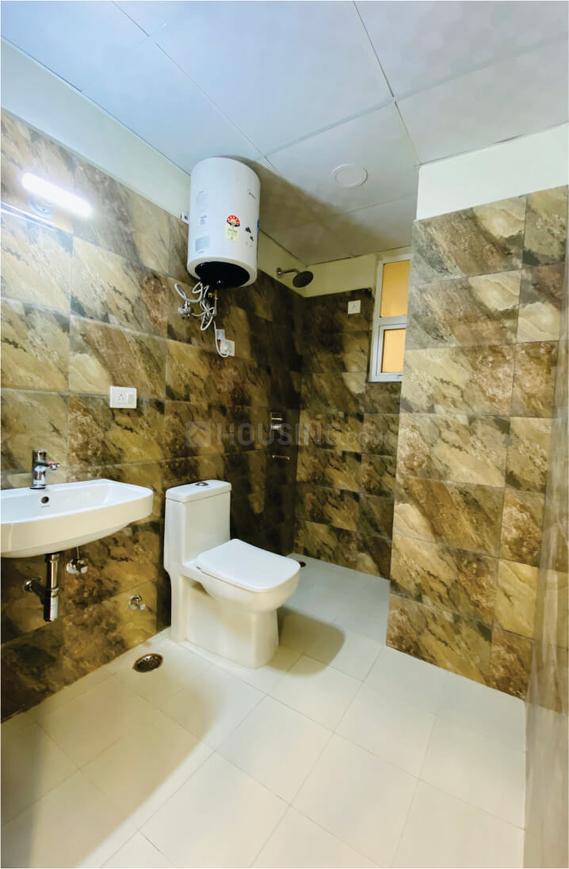 Beetle Orchid - Image 18