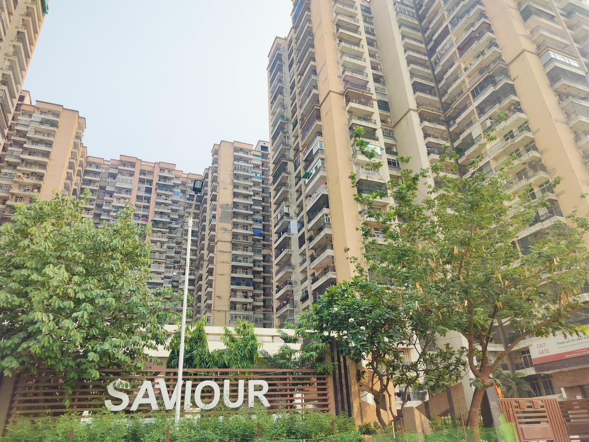 Saviour Greenisle - Image 5