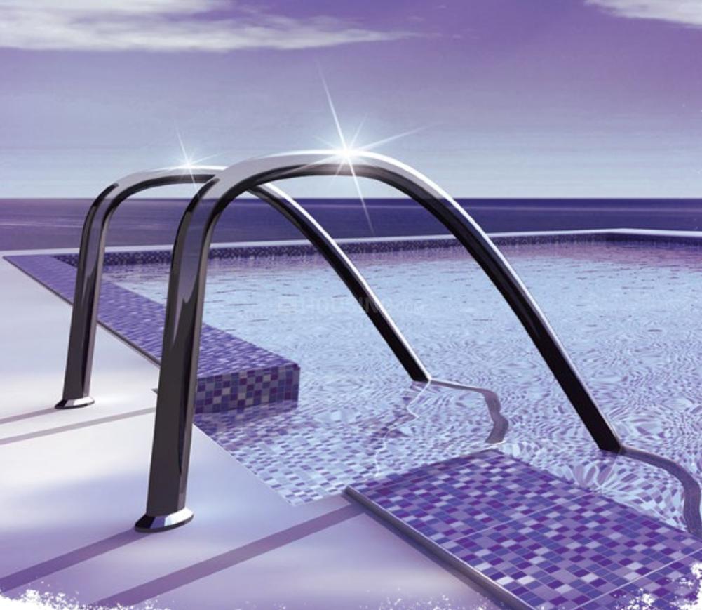 Primrose Ryne - Image 3