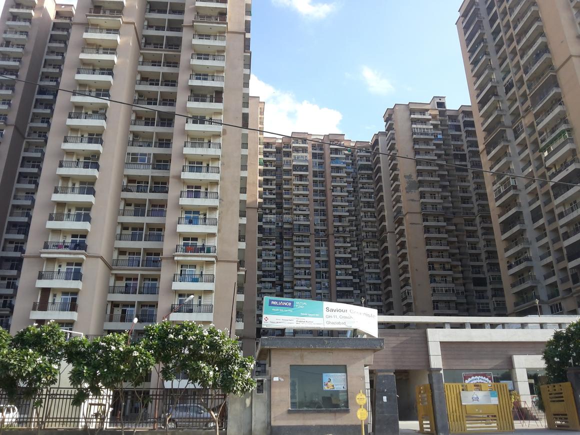 Saviour Greenisle - Image 3