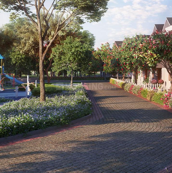 NVT Symphony Of Orchards - Image 7