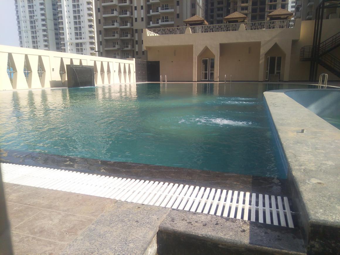 Paras Seasons - Image 26