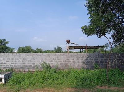 Gallery Cover Pic of Marme Pera Village