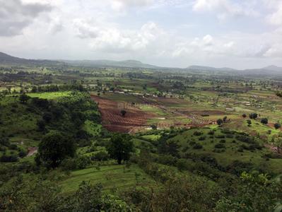 Residential Plot