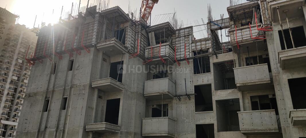 Irish Platinum - Image 29