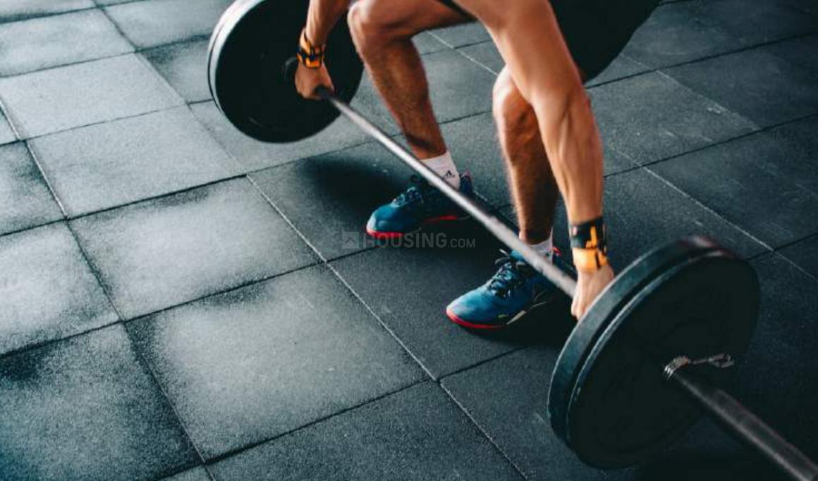 RG Luxury - Image 11