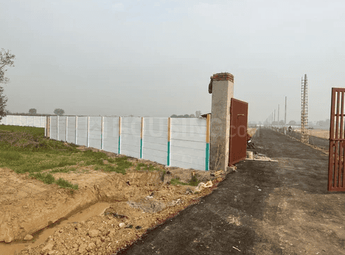 Rose N City - Image 13