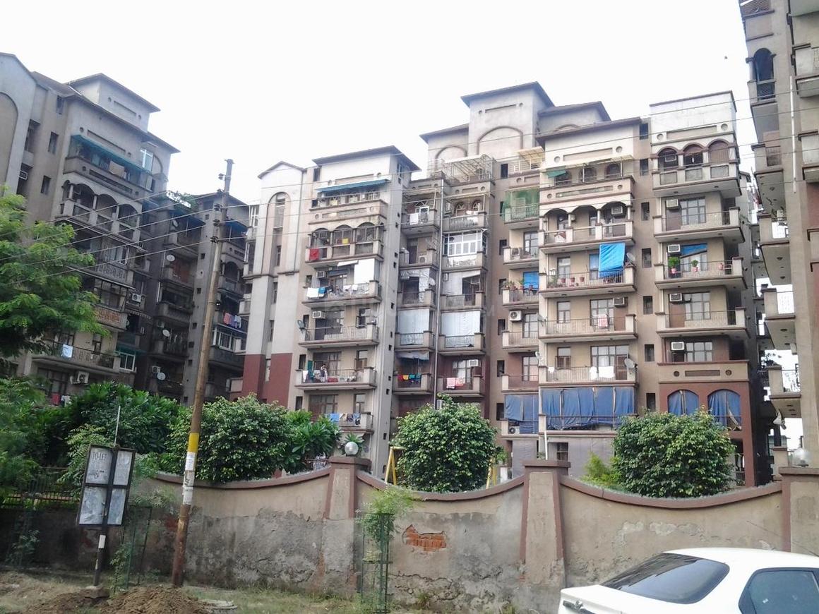 Amrapali Exotica - Image 4