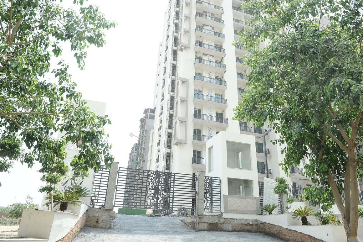 Sikka Karnam Greens - Image 4