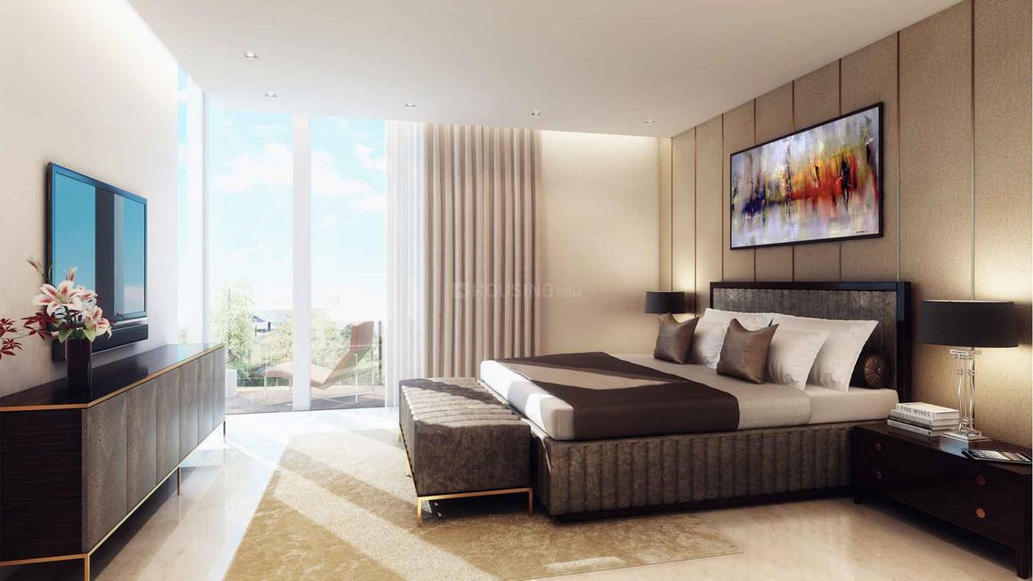 Aarone Botanica - Image 13