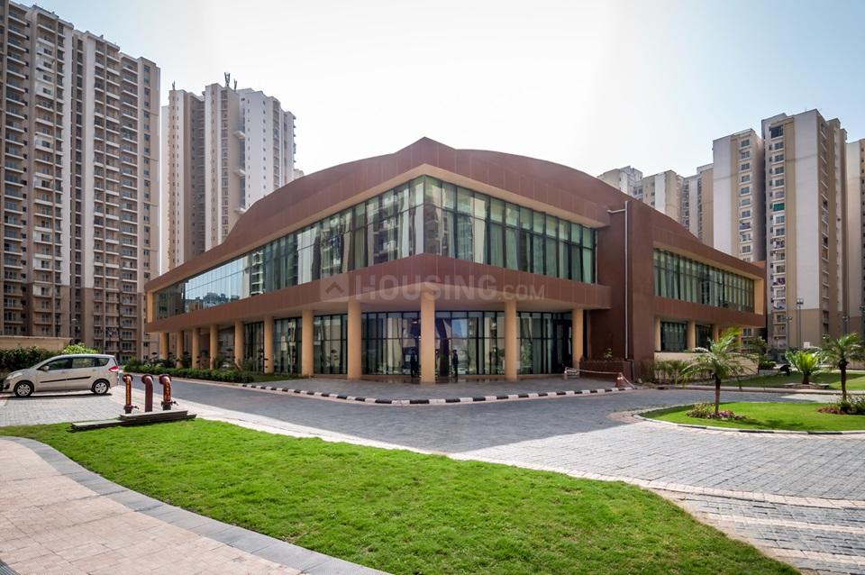 Paras Tierea - Image 25