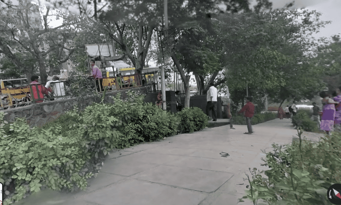 Stellar Greens - Image 12