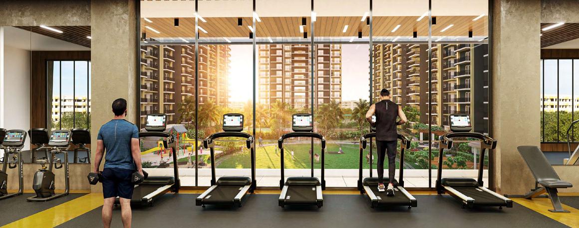 Stellar One - Image 14