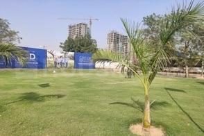 Lion Green Valley - Image 3