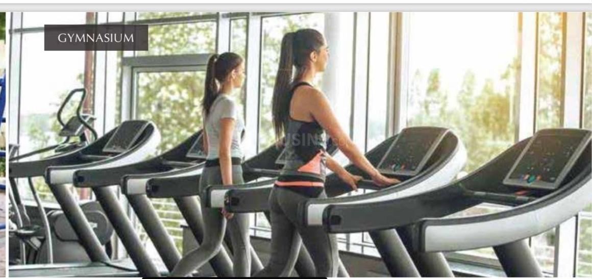 Migsun Atharva - Image 11