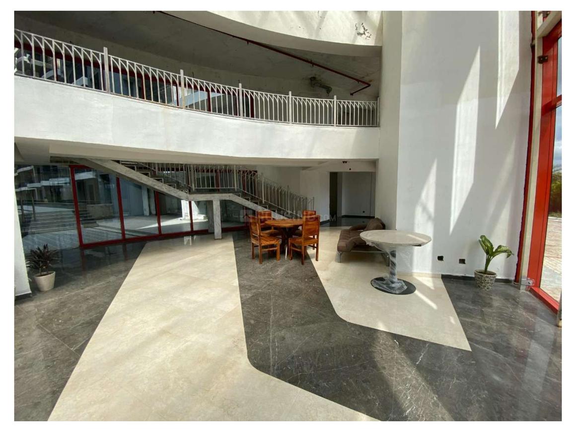 Home And Soul Beetle Lap - Image 7