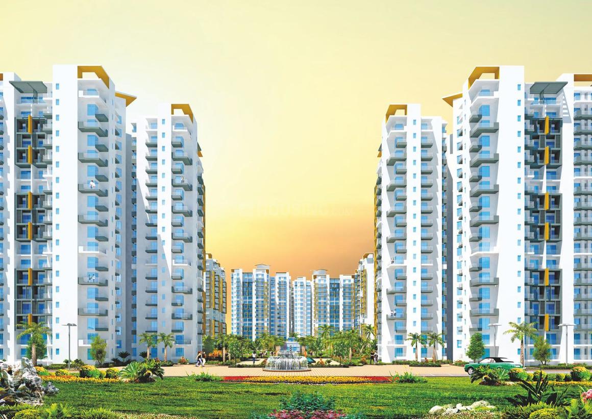 Sikka Karnam Greens - Image 5