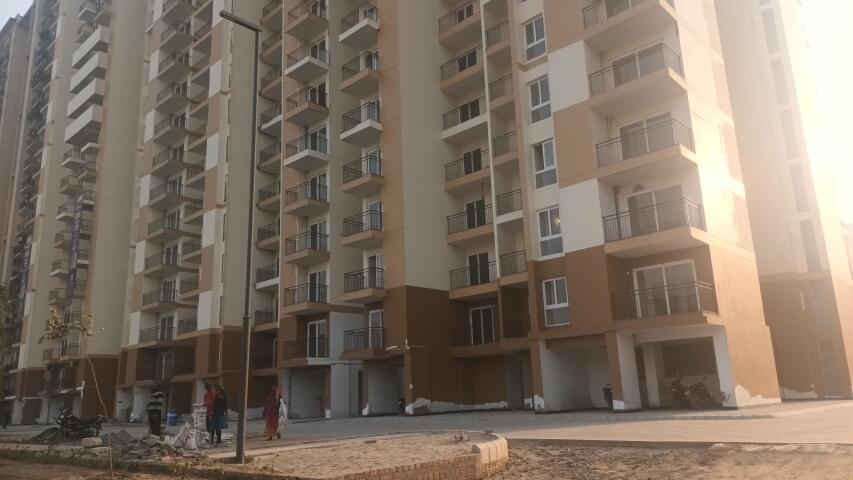 City Grace - Image 19